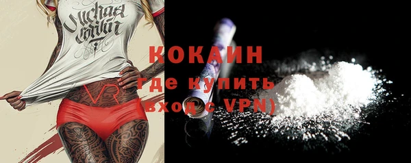 apvp Инсар