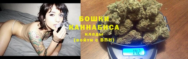 apvp Инсар