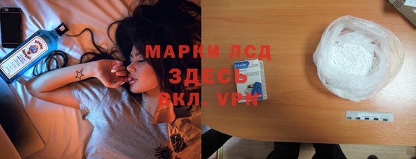 СК Инта