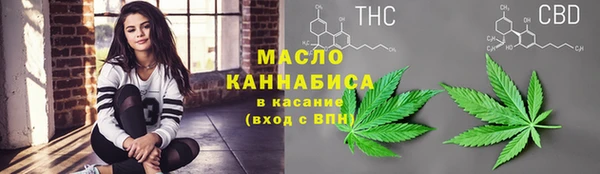 СК Инта