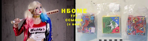 apvp Инсар