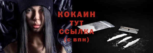 СК Инта