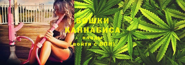 СК Инта