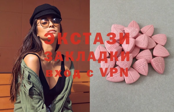 apvp Инсар