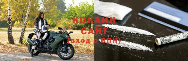 СК Инта