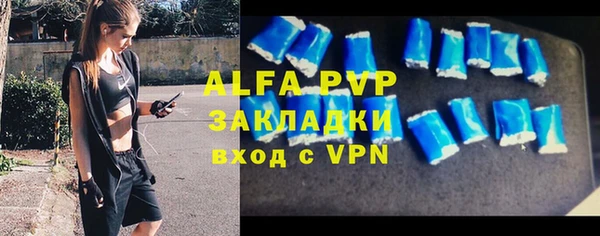 СК Инта