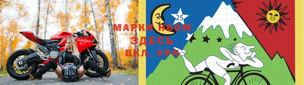 apvp Инсар