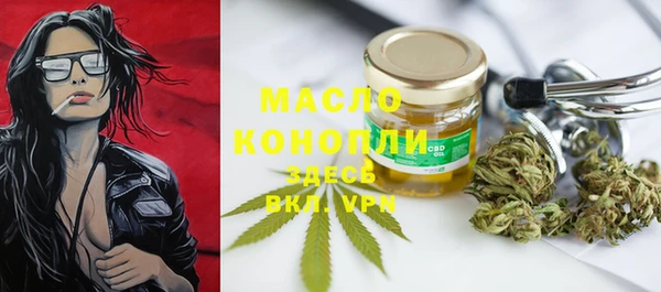 дживик Каменка