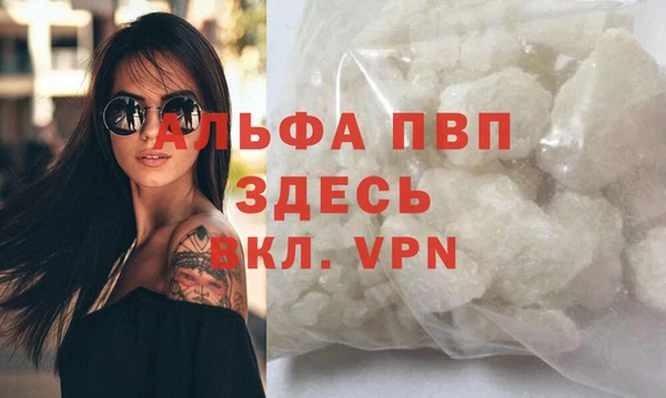СК Инта