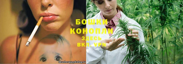 apvp Инсар