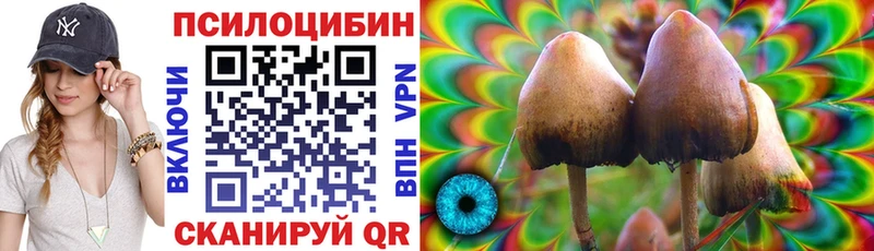 Псилоцибиновые грибы GOLDEN TEACHER  Купить где  Добрянка 